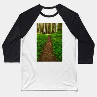 Redwood Forest Path Baseball T-Shirt